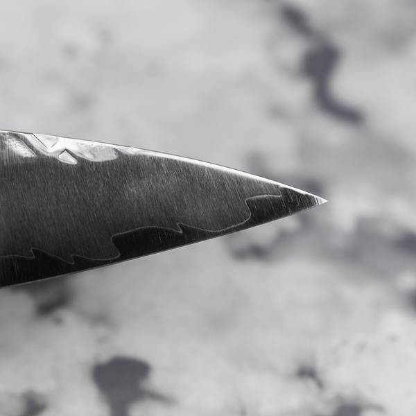 Takeshi Saji STRIX Blue Acrylic Nóż uniwersalny 13 cm