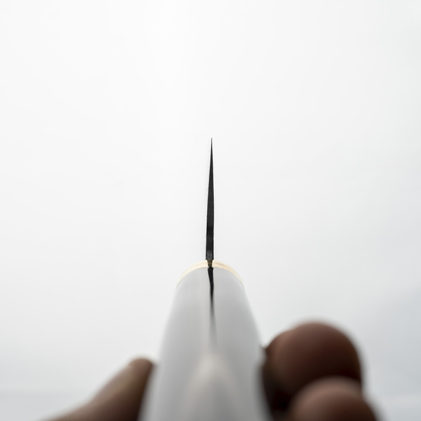 Takeshi Saji Art Tori Fuji on Lake R-2 Nóż Santoku 18 cm + Saya