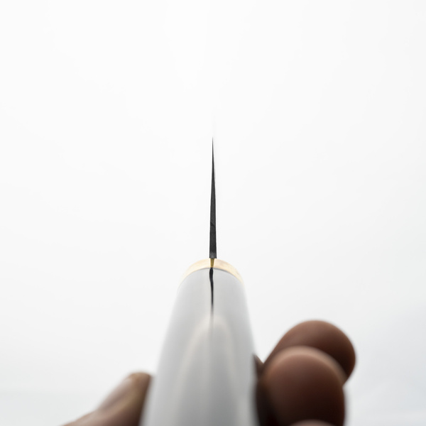 Takeshi Saji Art Fuji on Lake R-2 Nóż Nakiri 17 cm + Saya