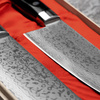Satake Unique Sai VG-10 Zestaw Nóż Santoku +Nakiri
