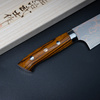 Takeshi Saji IW Aogami#2 Color Nóż Santoku 18 cm