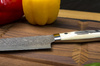 Takeshi Saji WBB Ręcznie kuty nóż Santoku 18 cm R-2
