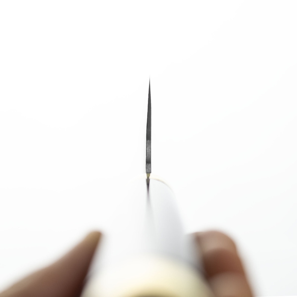 Takeshi Saji Art Fujin Raijin R-2 Nóż Szefa kuchni 21 cm + Saya