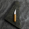 Kanetsune SK-4  Kiridashi 4,8cm