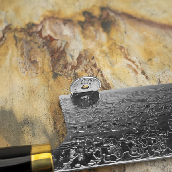 Takeshi Saji Art Tori Fuji on Lake R-2 Nóż Nakiri 17 cm + Saya