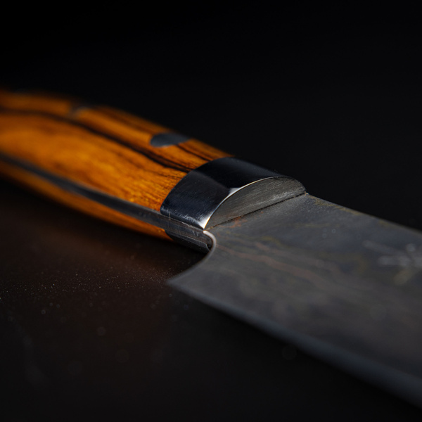 Takeshi Saji IW Aogami#2 Color Nóż Uniwersalny 13 cm