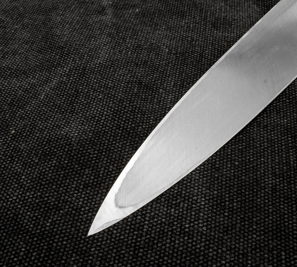 Tojiro Aogami Slanted Pro Nóż Yanagi-sashimi 27 cm