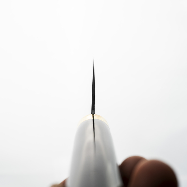 Takeshi Saji Art Fuji on Lake R-2 Nóż Szefa kuchni 21 cm + Saya