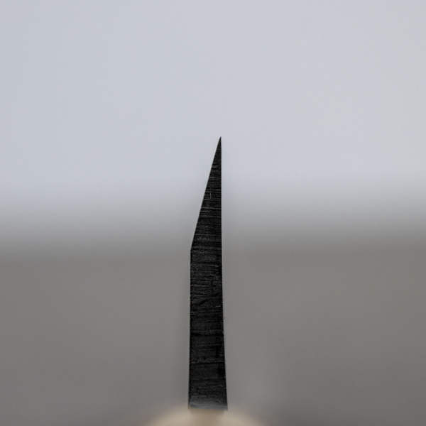 Satake Cutlery Mfg Shirogami#2 PRO Nóż Deba 12 cm