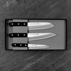 Tojiro DP3 Eco Uniwersalny 13 cm + Santoku 17 cm + Szefa kuchni 18 cm