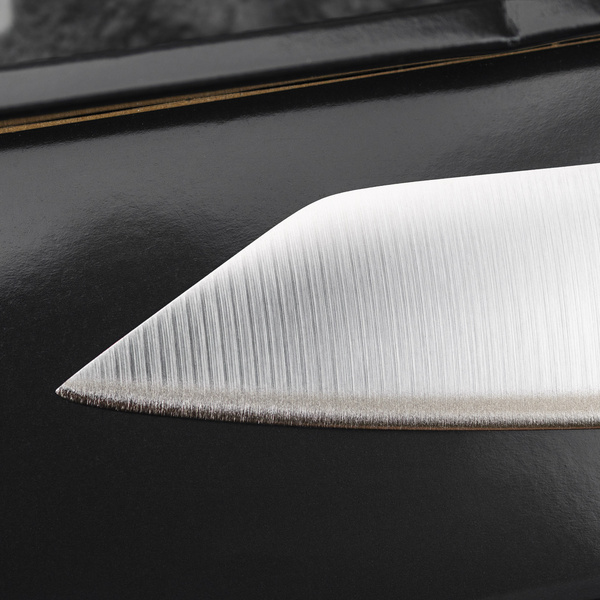 Nóż Yanagi Sashimi 25 cm (praworęczny) | Global G-11R