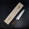 Takeshi Saji IW Aogami#2 Color Nóż Szefa kuchni 21 cm