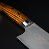 Takeshi Saji IW Aogami#2 Color Nóż Santoku 18 cm